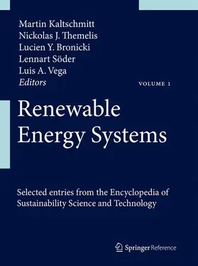 Kaltschmitt / Themelis / Vega |  Renewable Energy Systems | Buch |  Sack Fachmedien