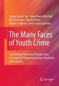 Junger-Tas / Marshall / Gruszczynska |  The Many Faces of Youth Crime | Buch |  Sack Fachmedien