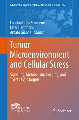 Koumenis / Hammond / Giaccia | Tumor Microenvironment and Cellular Stress | E-Book | www.sack.de