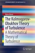 Birnir |  The Kolmogorov-Obukhov Theory of Turbulence | Buch |  Sack Fachmedien