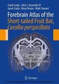 Scalia / Rasweiler IV / Orman |  Forebrain Atlas of the Short-tailed Fruit Bat, Carollia perspicillata | eBook | Sack Fachmedien