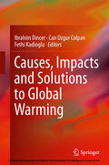 Dincer / Colpan / Kadioglu |  Causes, Impacts and Solutions to Global Warming | eBook | Sack Fachmedien