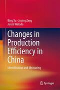 Xu / Watada / Zeng |  Changes in Production Efficiency in China | Buch |  Sack Fachmedien