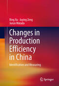 Xu / Zeng / Watada |  Changes in Production Efficiency in China | eBook | Sack Fachmedien
