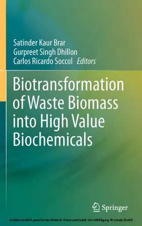 Brar / Dhillon / Soccol | Biotransformation of Waste Biomass into High Value Biochemicals | E-Book | sack.de