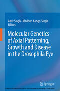 Singh / Kango-Singh |  Molecular Genetics of Axial Patterning, Growth and Disease in the Drosophila Eye | eBook | Sack Fachmedien