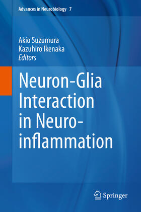 Suzumura / Ikenaka | Neuron-Glia Interaction in Neuroinflammation | E-Book | sack.de