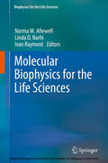 Allewell / Narhi / Rayment |  Molecular Biophysics for the Life Sciences | eBook | Sack Fachmedien