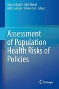 Guliš / Cori / Mekel |  Assessment of Population Health Risks of Policies | Buch |  Sack Fachmedien
