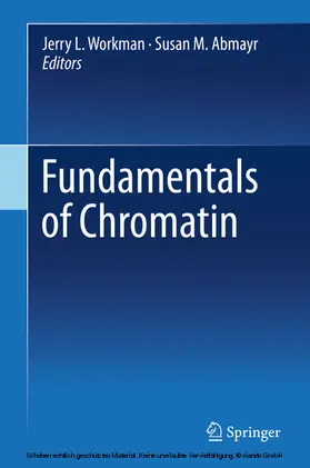 Workman / Abmayr | Fundamentals of Chromatin | E-Book | www.sack.de