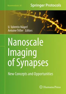 Triller / Nägerl |  Nanoscale Imaging of Synapses | Buch |  Sack Fachmedien