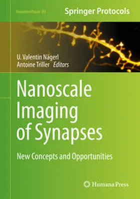 Nägerl / Triller | Nanoscale Imaging of Synapses | E-Book | www.sack.de