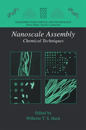 Huck |  Nanoscale Assembly | Buch |  Sack Fachmedien