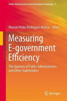 Rodríguez-Bolívar |  Measuring E-government Efficiency | Buch |  Sack Fachmedien