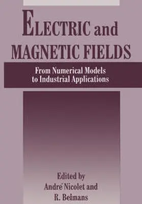 Belmans / Nicolet | Electric and Magnetic Fields | E-Book | www.sack.de