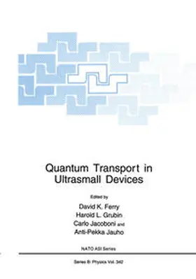 Ferry / Grubin / Jacoboni |  Quantum Transport in Ultrasmall Devices | eBook | Sack Fachmedien