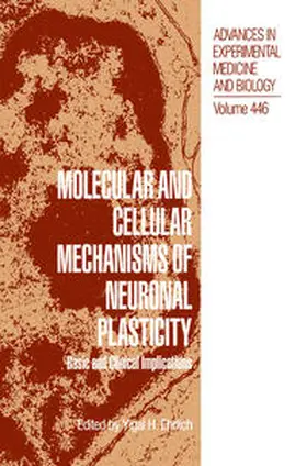 Ehrlich | Molecular and Cellular Mechanisms of Neuronal Plasticity | E-Book | www.sack.de