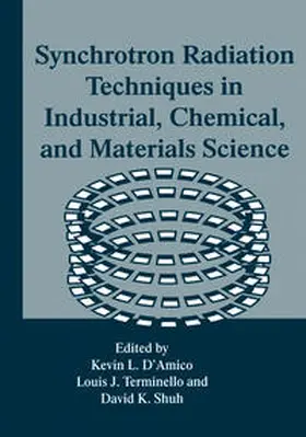 D'Amico / Terminello / Shuh | Synchrotron Radiation Techniques in Industrial, Chemical, and Materials Science | E-Book | www.sack.de