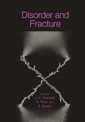 Charmet / Guyon / Roux | Disorder and Fracture | E-Book | sack.de
