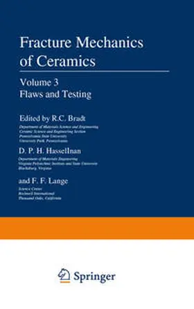 Bradt / Hasselman / Lange |  Flaws and Testing | eBook | Sack Fachmedien