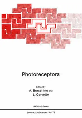 Borsellino |  Photoreceptors | eBook | Sack Fachmedien
