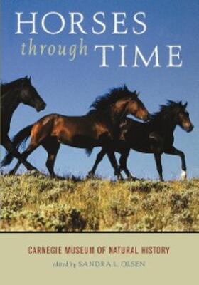 Olsen |  Horses through Time | eBook | Sack Fachmedien