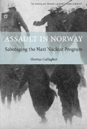 Gallagher |  Assault in Norway | eBook | Sack Fachmedien