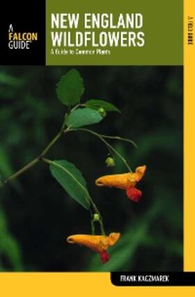 Kaczmarek |  New England Wildflowers | eBook | Sack Fachmedien