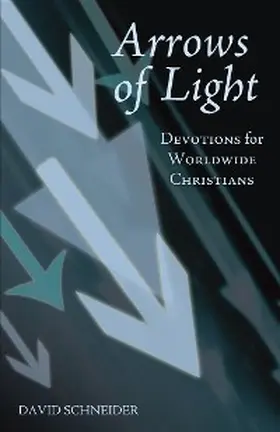 Schneider |  Arrows of Light | eBook | Sack Fachmedien