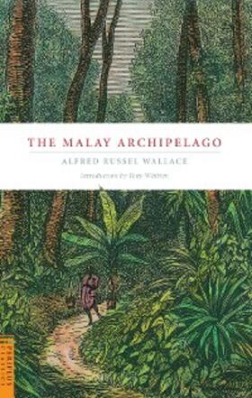 Wallace |  Malay Archipelago | eBook | Sack Fachmedien