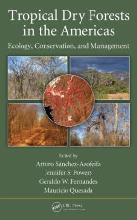 Sanchez-Azofeifa / Powers / Fernandes |  Tropical Dry Forests in the Americas | Buch |  Sack Fachmedien