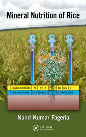 Fageria | Mineral Nutrition of Rice | Buch | 978-1-4665-5806-9 | sack.de