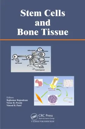 Rajendram / Preedy / Patel | Stem Cells and Bone Tissue | Buch | 978-1-4665-7841-8 | sack.de