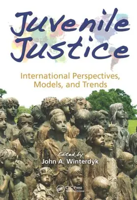 Winterdyk |  Juvenile Justice | Buch |  Sack Fachmedien