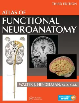 Hendelman, M.D. | Atlas of Functional Neuroanatomy | Buch | 978-1-4665-8534-8 | www.sack.de
