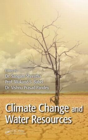 Shrestha / Babel / Pandey | Climate Change and Water Resources | Buch | 978-1-4665-9466-1 | sack.de