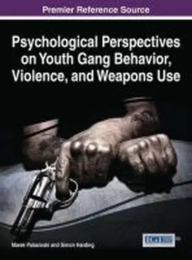 Harding / Palasinski |  Global Perspectives on Youth Gang Behavior, Violence, and Weapons Use | Buch |  Sack Fachmedien