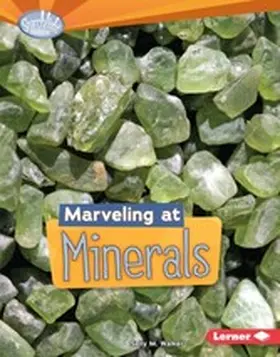 Walker |  Marveling at Minerals | eBook | Sack Fachmedien