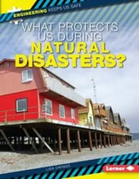 Owings |  What Protects Us During Natural Disasters? | eBook | Sack Fachmedien