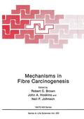 Brown / Johnson / Hoskins |  Mechanisms in Fibre Carcinogenesis | Buch |  Sack Fachmedien