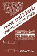 Stein |  Nerve and Muscle | Buch |  Sack Fachmedien