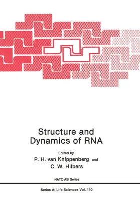 Knippenberg / Hilbers |  Structure and Dynamics of RNA | Buch |  Sack Fachmedien