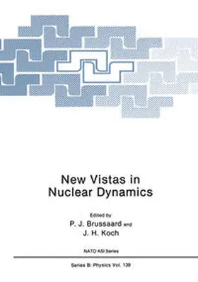Brussaard / Koch | New Vistas in Nuclear Dynamics | E-Book | www.sack.de
