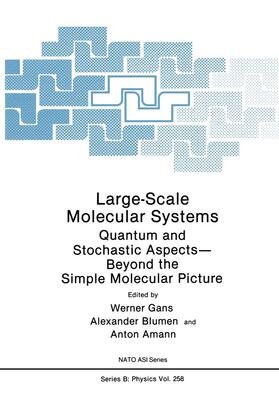 Gans / Amann / Blumen |  Large-Scale Molecular Systems | Buch |  Sack Fachmedien