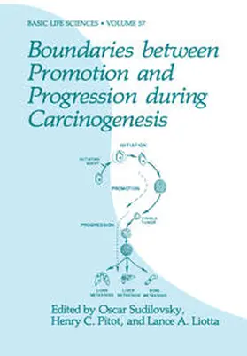 Sudilovsky / Pitot / Liotta |  Boundaries between Promotion and Progression during Carcinogenesis | eBook | Sack Fachmedien