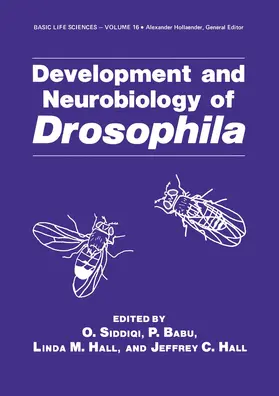 Siddiqi / Babu / Hall |  Development and Neurobiology of Drosophila | Buch |  Sack Fachmedien