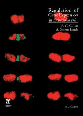 Lin / Lynch |  Regulation of Gene Expression in Escherichia coli | eBook | Sack Fachmedien