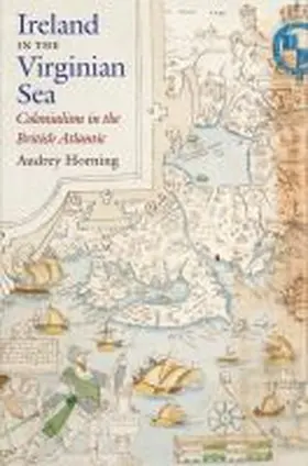 Horning |  Ireland in the Virginian Sea | Buch |  Sack Fachmedien