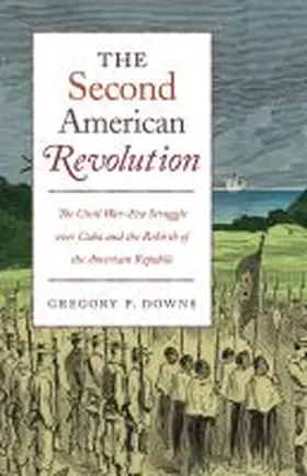 Downs |  The Second American Revolution | Buch |  Sack Fachmedien