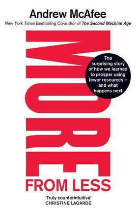 McAfee |  More From Less | Buch |  Sack Fachmedien